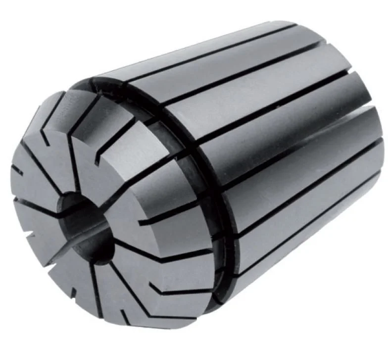alicon1-2834626