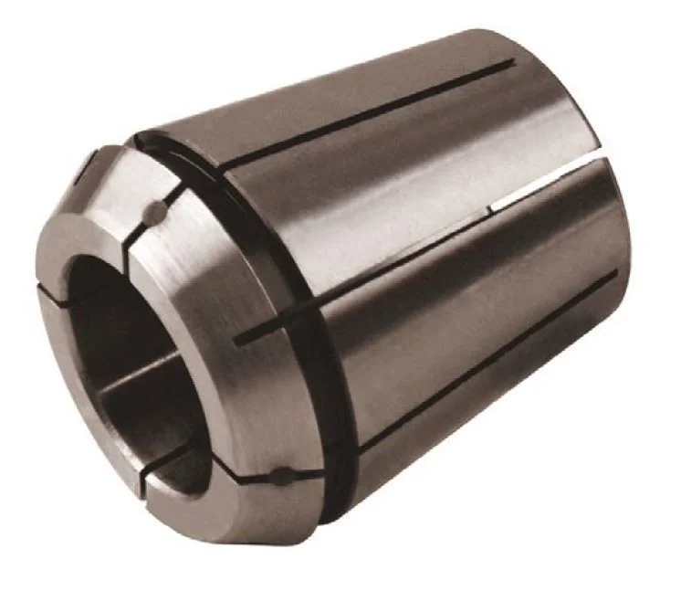 alicon1-2835394