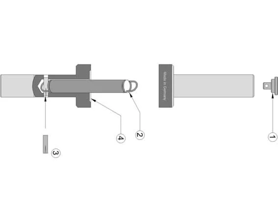 alicon1-2839560