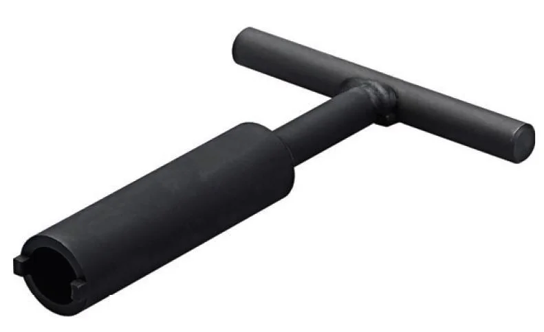 alicon1-2839696