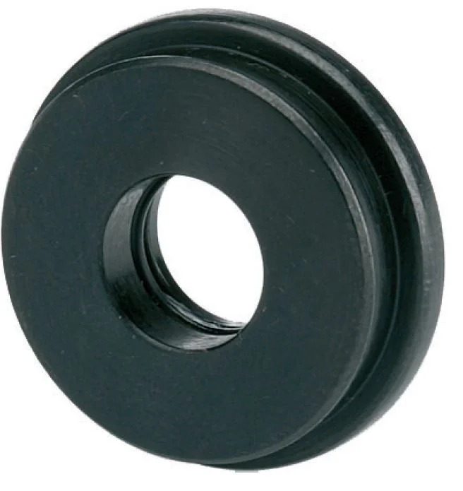 alicon1-2840421