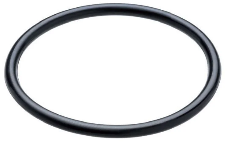 alicon1-2846683