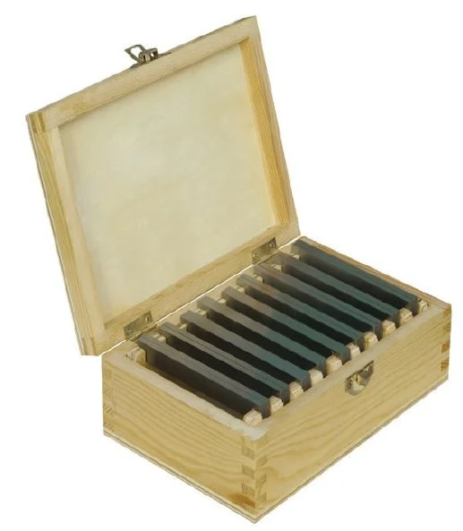 alicon1-2863349