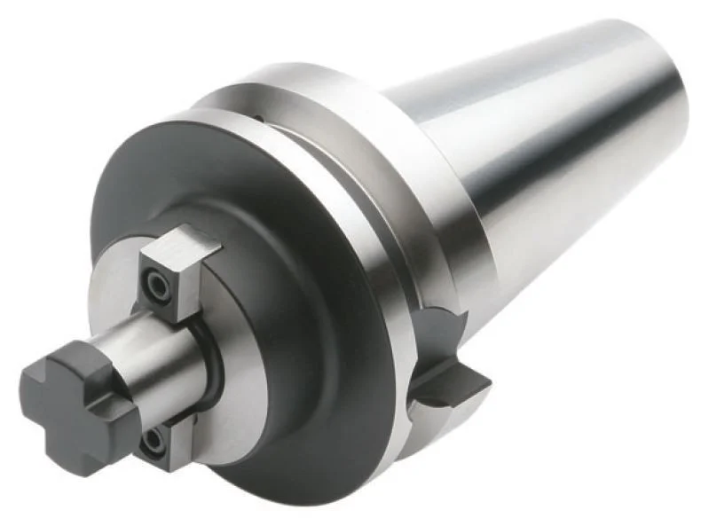 alicon1-2868226