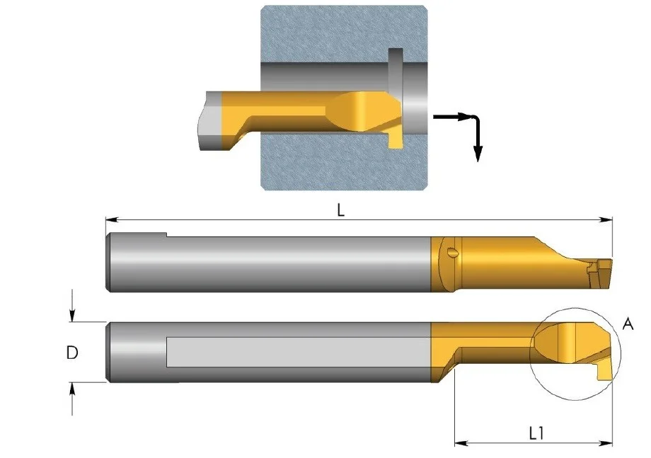 alicon1-2900451