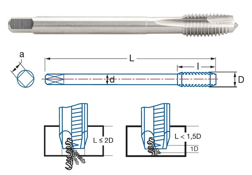 alicon1-2916337