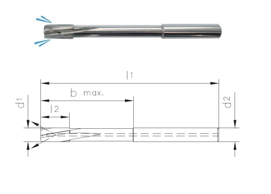 alicon1-3179599