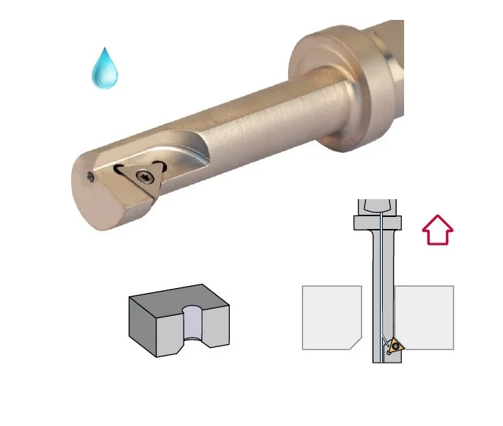 alicon2-2863070