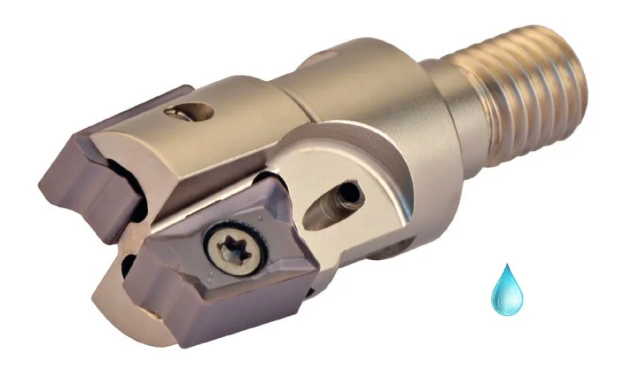 alicon2-2900498