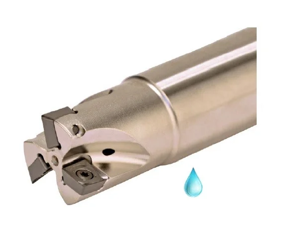 alicon2-2921850