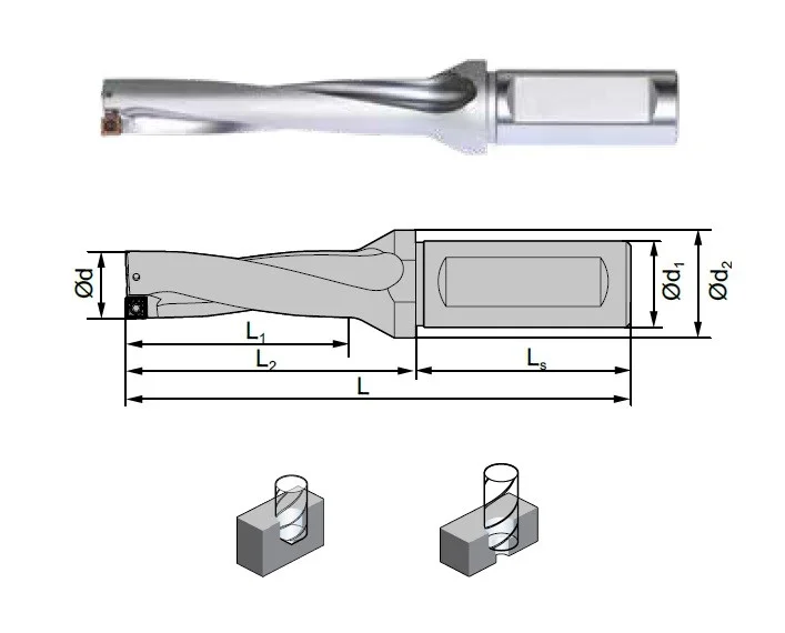 alicon2-3015223