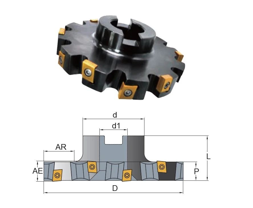 alicon5-2886972