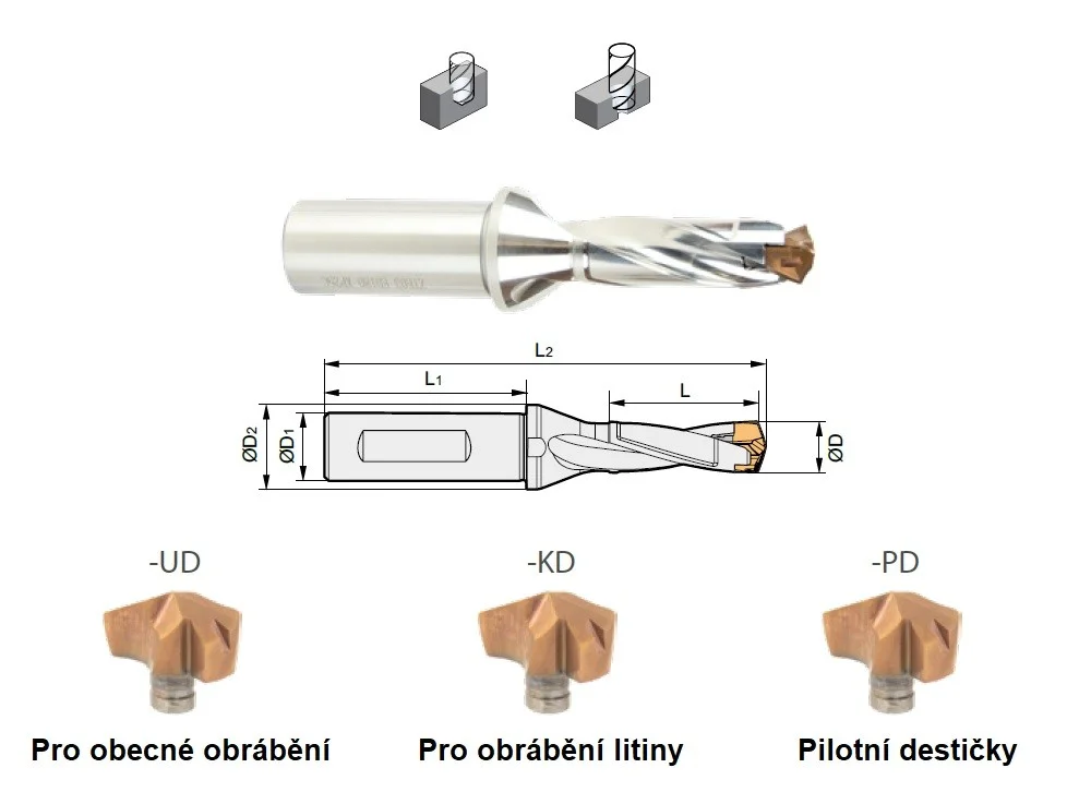 alicon5-3020497