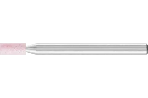 boukal1-3354041
