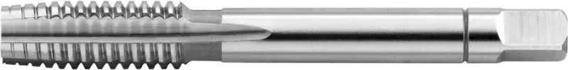 boukal2-3107964
