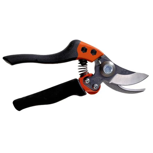 landsmann1-3323473