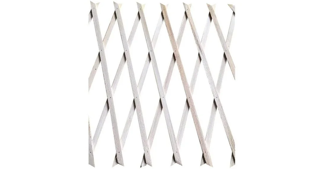 naradihornig-3066639