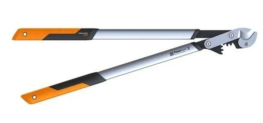 naradihornig-3120392