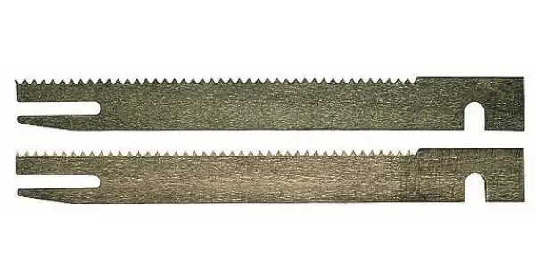 peddy-2927145