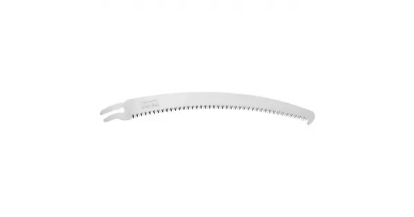 peddy-3003367