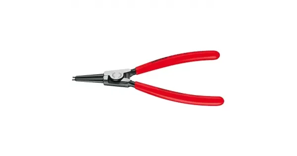 peddy-3006769