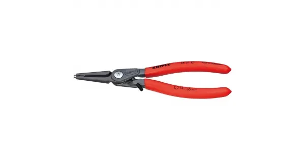 peddy-3007215