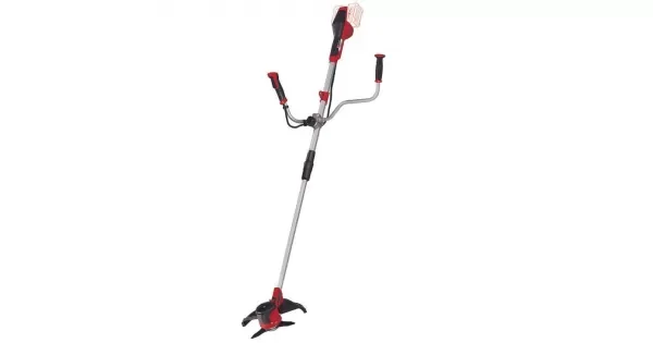 peddy-3054033