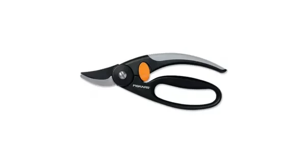 peddy-3067734