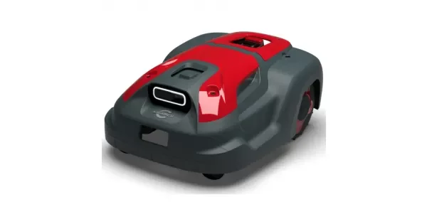peddy-3074346