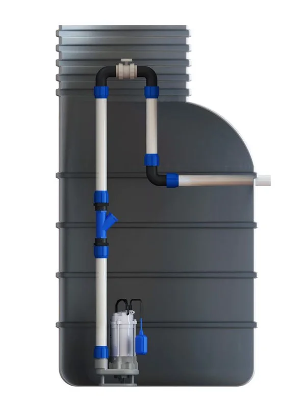 pkvplus-2828819
